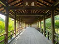 東福寺の写真_555146