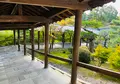 東福寺の写真_555148