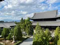 東福寺の写真_555162