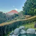 ホテルマウント富士の写真_556549