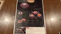 加賀藩御用菓子司 森八 本店の写真_559036