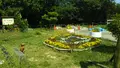石ケ谷公園の写真_559218