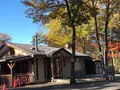 ベーコンの写真_559241