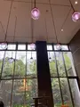 ホテル ザ セレスティン京都祇園の写真_560389