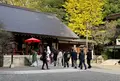 乃木神社の写真_567031