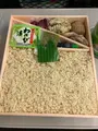 （株）桃中軒 三島駅南口駅前売店の写真_586076
