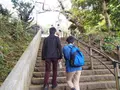 江島神社 辺津宮の写真_594567
