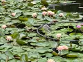 国立台湾芸術教育館の写真_599873