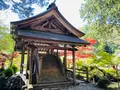白毫寺の写真_600017