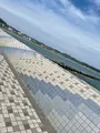 鎌倉海浜公園の写真_603255