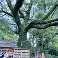熊野那智大社の写真_608787