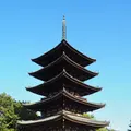 興福寺五重塔の写真_611962
