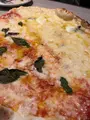 イルリトローボ 渋谷 イタリアン ｜ ピザ ステーキ 夜景 ランチ ディナー 女子会 貸切 パーティー 二次会 宴会の写真_624948