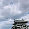 弘前城の写真_625406