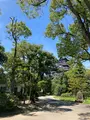 広島城の写真_626180