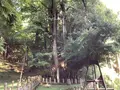 菩提寺の写真_627492