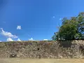 津山城跡の写真_627524
