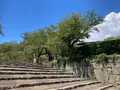津山城跡の写真_627529