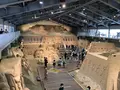 砂の美術館の写真_627760