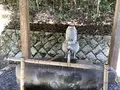 白兎神社の写真_627763