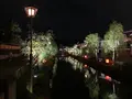 倉敷美観地区の写真_628941
