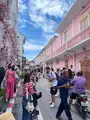 Old Phuket Town（プーケットタウン）の写真_630250