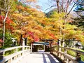 古峯神社の写真_637926