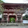 醍醐寺の写真_639470