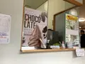 道の駅天城越えの写真_642437