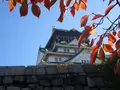 大阪城の写真_655111