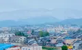 魚津埋没林博物館の写真_664822