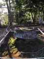 常陸国総社宮の写真_668499