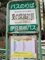 來宮神社の写真_671227