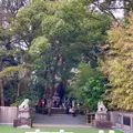 來宮神社の写真_671230