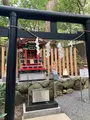 來宮神社の写真_671232
