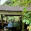 ゆとりの湯裏見ヶ滝温泉の写真_673092