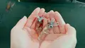 ほたるいかミュージアムの写真_677541