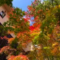 お宿 木の葉の写真_680572