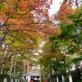 白根神社の写真_680600