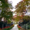 白根神社の写真_680601
