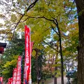 光泉寺の写真_680622