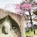 嵯峨釈迦堂（清凉寺）の写真_681038