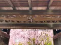 退蔵院の写真_681085