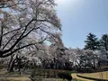 黒磯公園の写真_681585