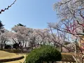 黒磯公園の写真_681586