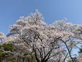 黒磯公園の写真_681587