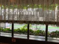 レストラン ビストロの写真_684000