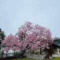 トラピスチヌ修道院の写真_684256