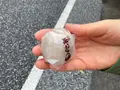 旭饅頭の写真_684650