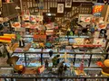 昭和ロマン蔵の写真_685760